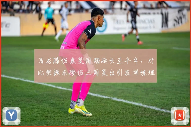 马龙膝伤康复周期延长至半年，对比樊振东腰伤三周复出引发训练理念争议